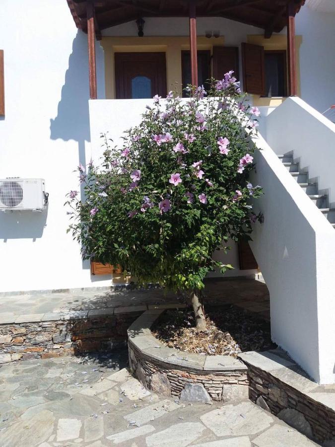 Niki Apartments Panormos (Skopelos) Exterior foto