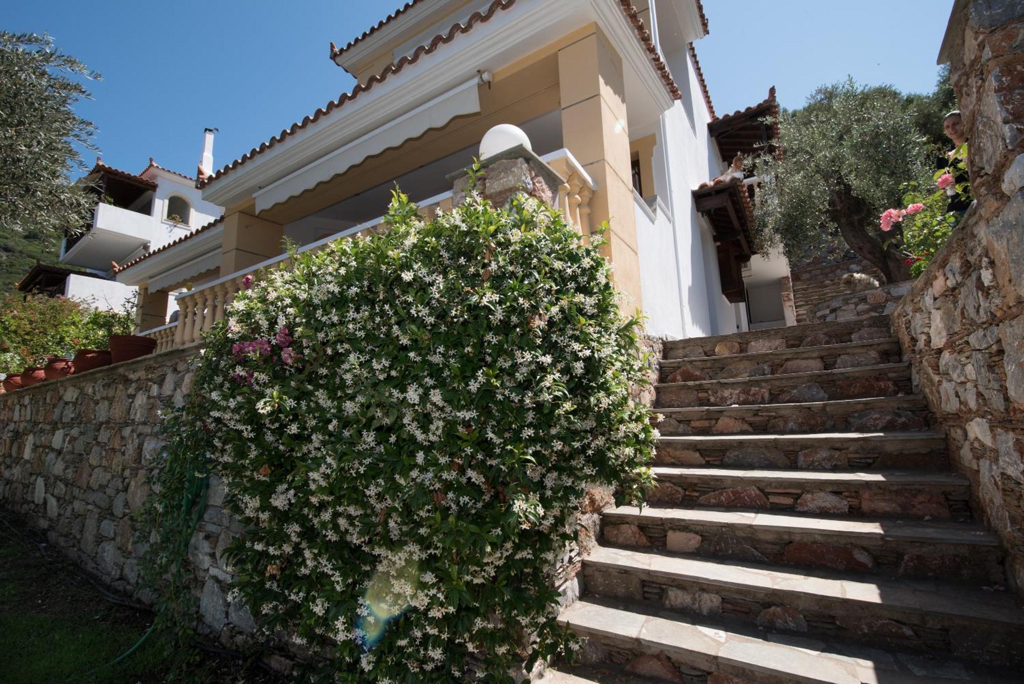 Niki Apartments Panormos (Skopelos) Exterior foto
